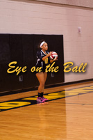 rmhs14vgvoll85