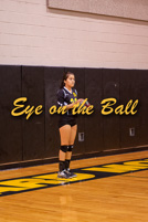 rmhs14vgvoll87