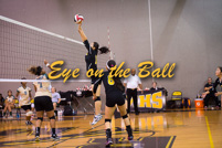 rmhs15vgvoll194