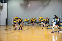 rmhs15vgvoll31