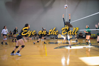 rmhs15vgvoll37