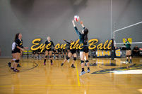 rmhs15vgvoll39