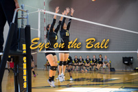 rmhs15vgvoll44