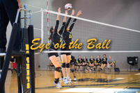 rmhs15vgvoll45
