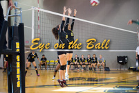 rmhs15vgvoll49