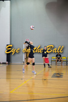 rmhs15vgvoll56