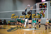 rmhs15vgvoll57