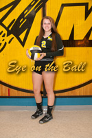 rmhs15vgvoll6