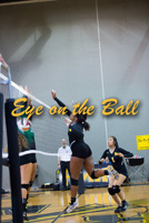 rmhs15vgvoll74