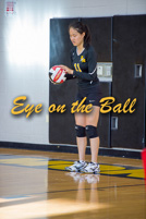 rmhs15vgvoll87