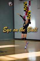 rmhs15vgvoll88