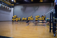 rmhs15vgvoll99