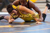 rmhs14zzwres73